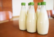 Фото - Аллергикам и веганам предложили заменить обычное молоко тараканьим