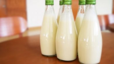 Фото - Аллергикам и веганам предложили заменить обычное молоко тараканьим