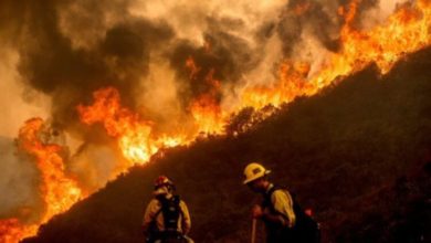 Фото - Пожары в Калифорнии: из чего состоит дым и чем он опасен?