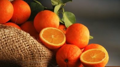 Фото - Ученые рассказали о невероятной пользе апельсинов