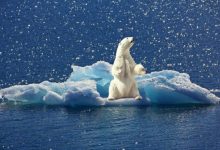 Фото - Не все потеряно — Арктику можно быстро охладить