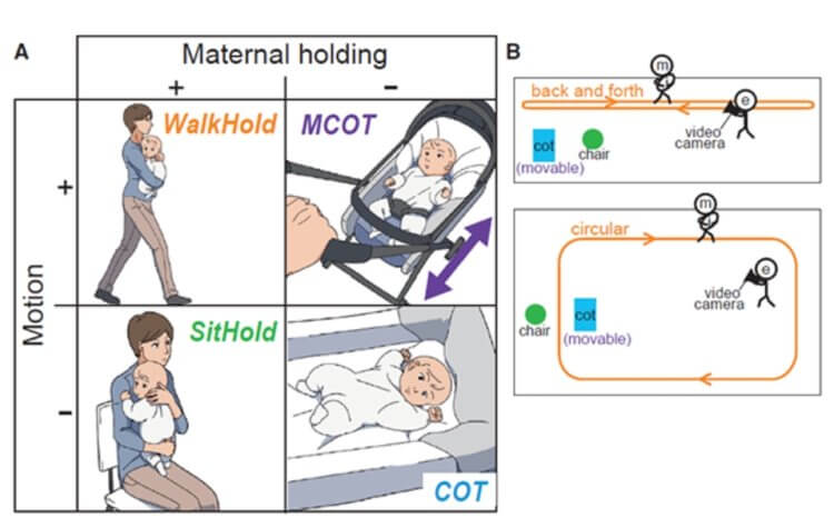 Ученые нашли идеальный способ успокоить любого младенца