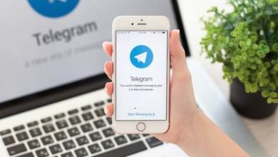 Фото - ТОП 10 Telegram-каналов — лучшая осенняя подборка