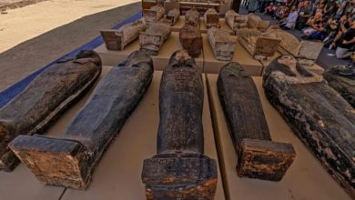 Фото - Сотни мумий и неизвестная царица: удивительная находка в египетской Саккаре